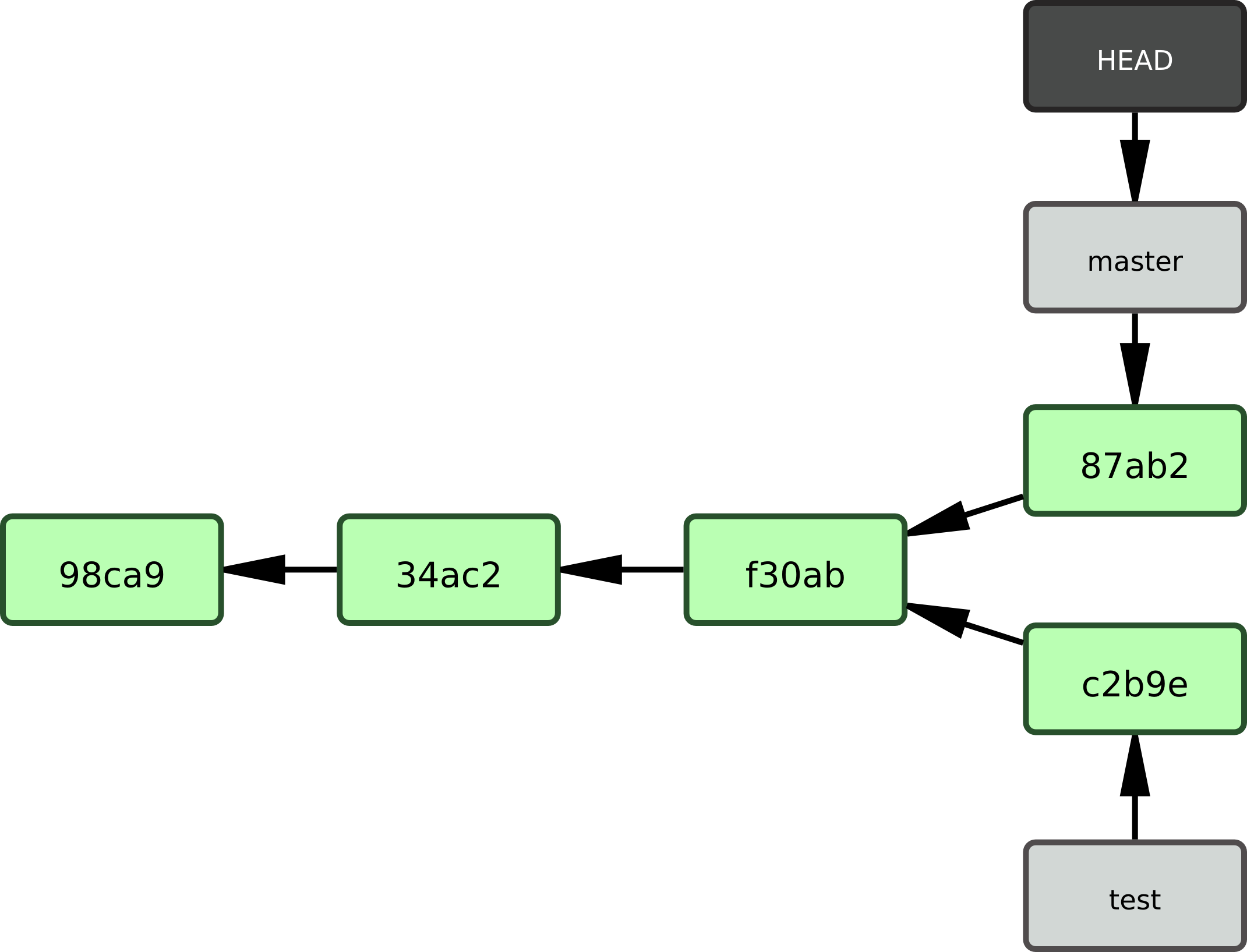 Figure 3-9. Les historiques de branche ont divergé.